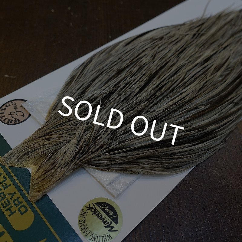 画像3: 【WHITING】Hebert ROOSTER CAPE Bronze Grade - Unique variant No.1 (3)