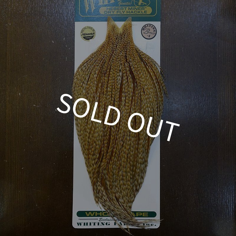 画像1: 【WHITING】Hebert ROOSTER CAPE Bronze Grade - BARRED MEDIUM GINGER No.1 (1)