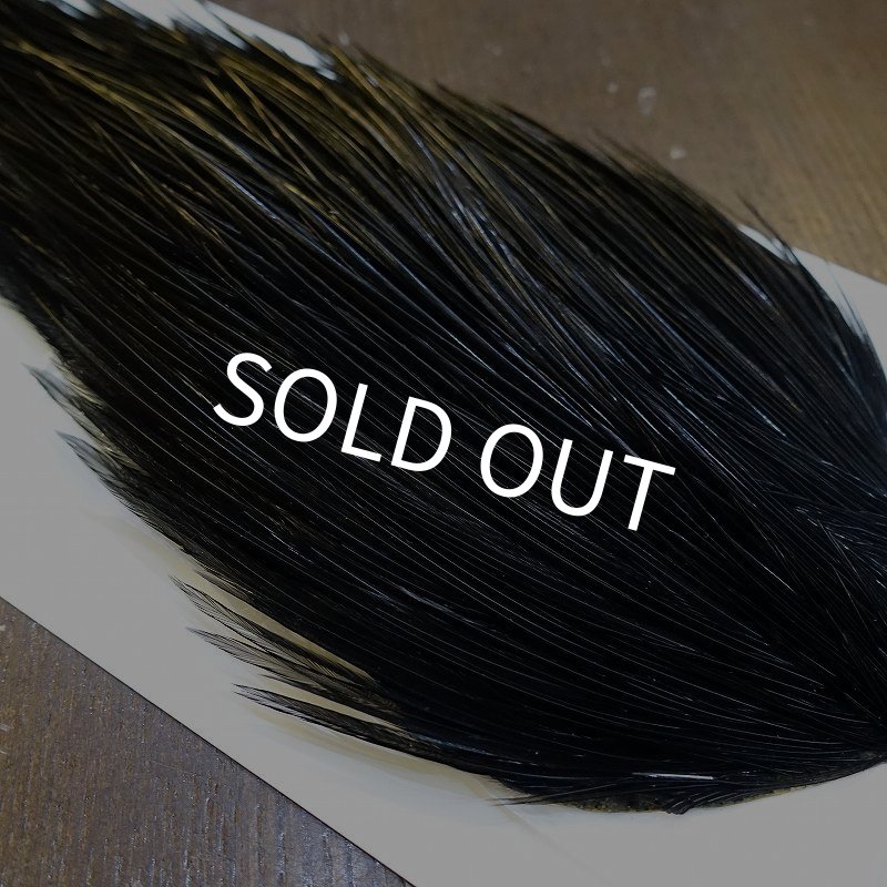 画像4: 【WHITING】Hebert Bronze Grade Cape DyedBlack No.1 (4)