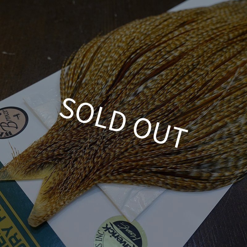 画像3: 【WHITING】Hebert ROOSTER CAPE Bronze Grade - BARRED MEDIUM GINGER No.1 (3)