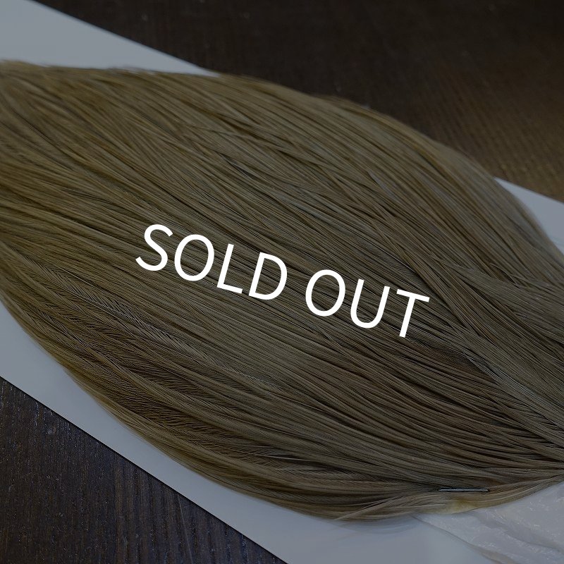 画像4: 【WHITING】Hebert ROOSTER CAPE Bronze Grade - MEDIUM BROWN DUN No.1 (4)