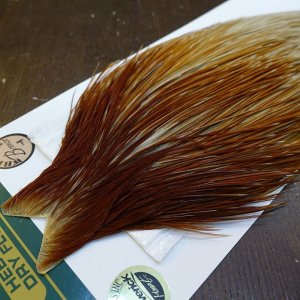 画像3: 【WHITING】Hebert ROOSTER CAPE Bronze Grade - Honey Dun No.2