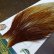 画像3: 【WHITING】Hebert ROOSTER CAPE Bronze Grade - Honey Dun No.2 (3)