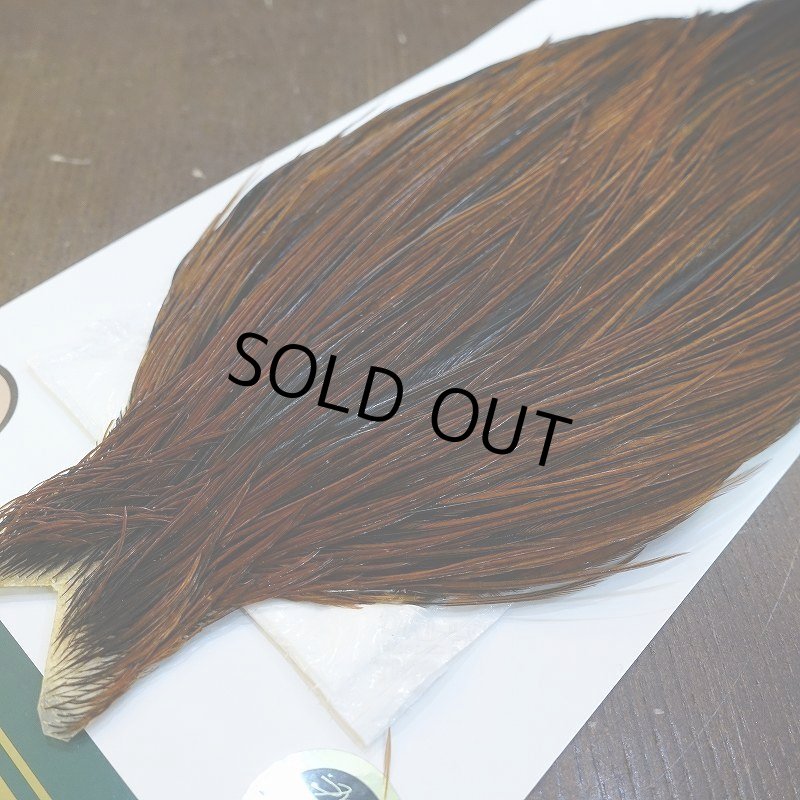 画像3: 【WHITING】Hebert ROOSTER CAPE Bronze grade - Furnace No.2 (3)