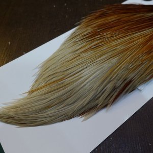 画像5: 【WHITING】Hebert ROOSTER CAPE Bronze Grade - Honey Dun No.2