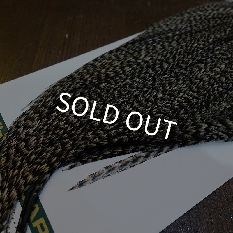 画像5: 【WHITING】Hebert ROOSTER CAPE Bronze Grade - Grizzly variant No.2 (5)