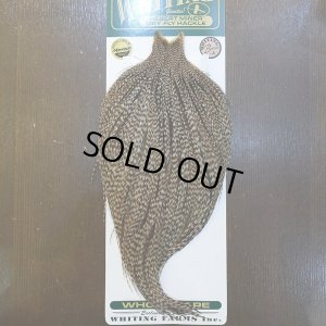 画像1: 【WHITING】Hebert ROOSTER CAPE Bronze Grade - DUN GRIZZLY No.2