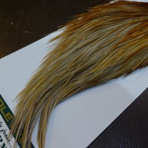 画像5: 【WHITING】Hebert ROOSTER CAPE Bronze Grade - Honey Dun No.1