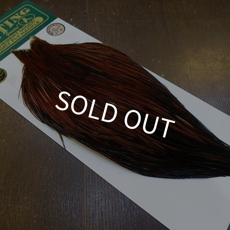 画像2: 【WHITING】Hebert ROOSTER CAPE Bronze grade - Furnace No.3 (2)