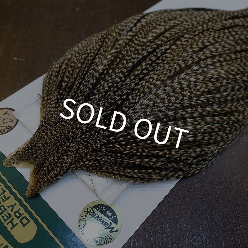 画像3: 【WHITING】Hebert ROOSTER CAPE Bronze Grade - DUN GRIZZLY No.2 (3)