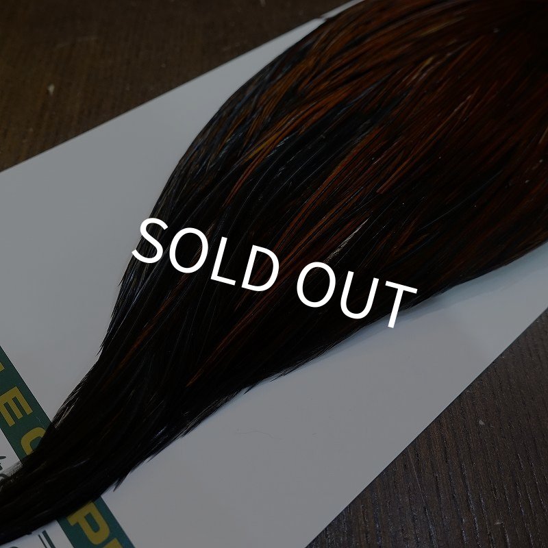 画像5: 【WHITING】Hebert ROOSTER CAPE Bronze grade - Furnace No.3 (5)