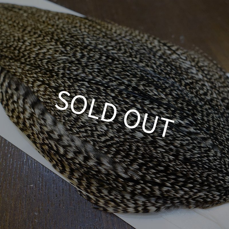 画像4: 【WHITING】Hebert ROOSTER CAPE Bronze Grade - Grizzly variant No.2 (4)