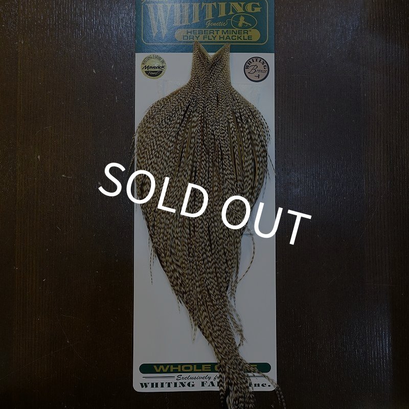 画像1: 【WHITING】Hebert ROOSTER CAPE Bronze Grade - DUN GRIZZLY No.1 (1)