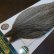 画像3: 【WHITING】Hebert ROOSTER CAPE Bronze Grade - LIGHT GREY DUN No.1 (3)