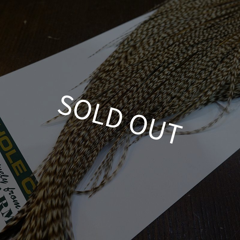 画像5: 【WHITING】Hebert ROOSTER CAPE Bronze Grade - DUN GRIZZLY No.1 (5)