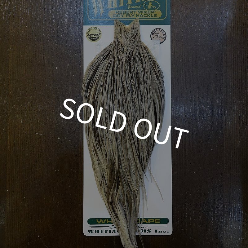 画像1: 【WHITING】Hebert ROOSTER CAPE Bronze Grade - Unique variant No.1 (1)