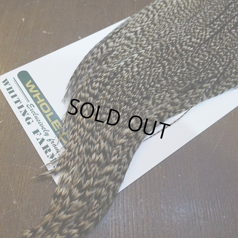 画像5: 【WHITING】Hebert ROOSTER CAPE Bronze Grade - Grizzly variant No.4 (5)