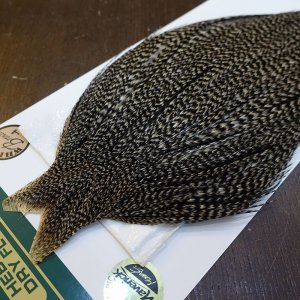 画像3: 【WHITING】Hebert ROOSTER CAPE Bronze Grade - Grizzly variant No.3