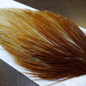 画像4: 【WHITING】Hebert ROOSTER CAPE Bronze Grade - Honey Dun No.2