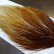 画像4: 【WHITING】Hebert ROOSTER CAPE Bronze Grade - Honey Dun No.2 (4)