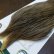 画像3: 【WHITING】Hebert ROOSTER CAPE Bronze Grade - BROWN GREY DUN No.1 (3)