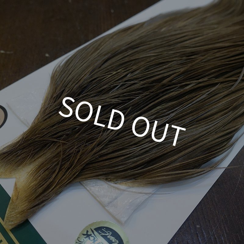 画像3: 【WHITING】Hebert ROOSTER CAPE Bronze Grade - BROWN GREY DUN No.1 (3)