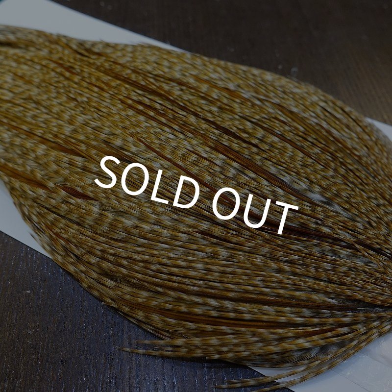 画像4: 【WHITING】Hebert ROOSTER CAPE Bronze Grade - BARRED MEDIUM GINGER No.1 (4)