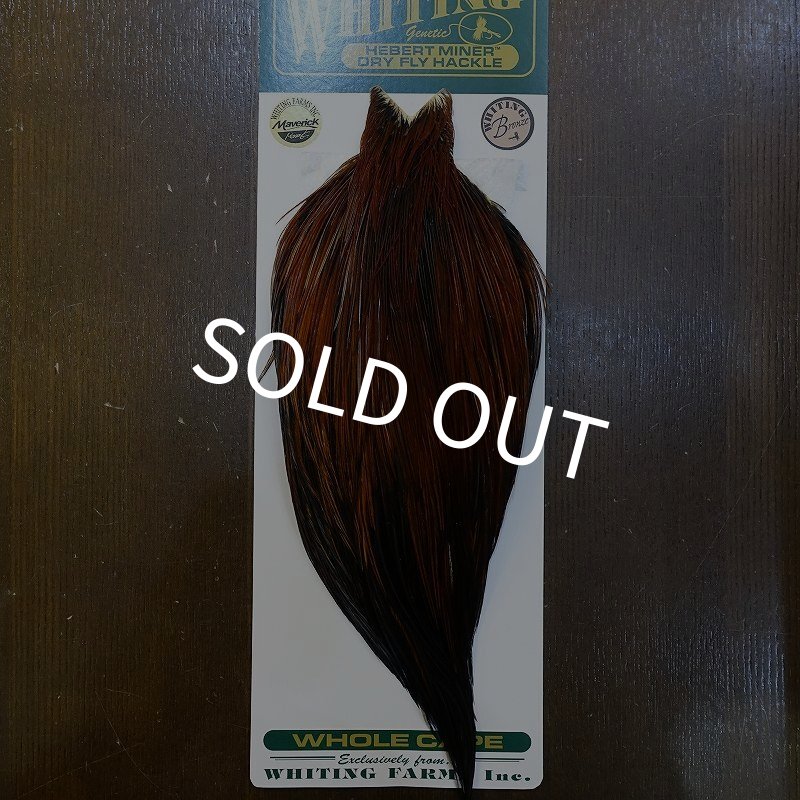 画像1: 【WHITING】Hebert ROOSTER CAPE Bronze grade - Furnace No.3 (1)