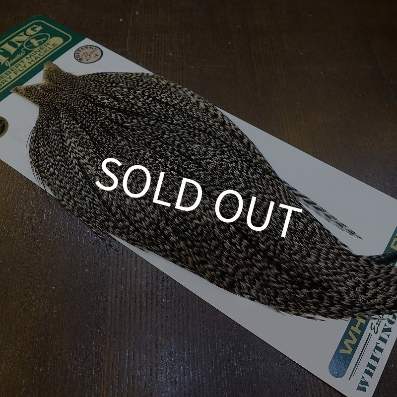 画像2: 【WHITING】Hebert ROOSTER CAPE Bronze Grade - Grizzly variant No.2 (2)