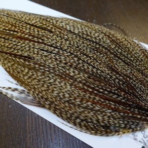 画像4: 【WHITING】Hebert ROOSTER CAPE Bronze Grade - DUN GRIZZLY No.3