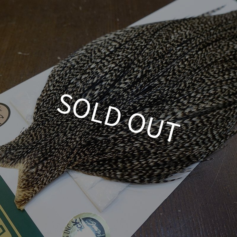 画像3: 【WHITING】Hebert ROOSTER CAPE Bronze Grade - Grizzly variant No.2 (3)