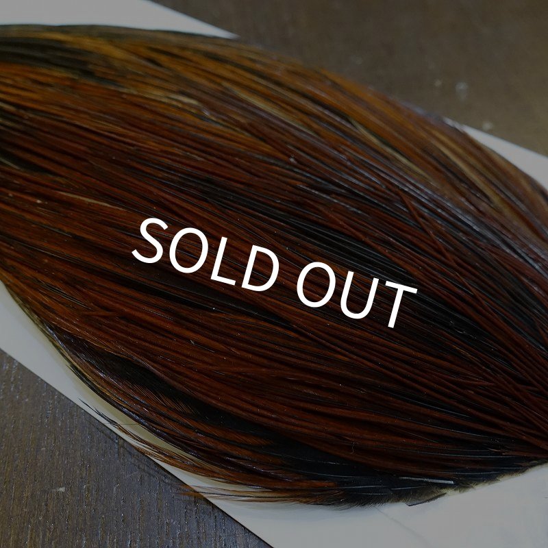 画像4: 【WHITING】Hebert ROOSTER CAPE Bronze grade - Furnace No.3 (4)