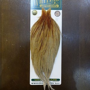 画像1: 【WHITING】Hebert ROOSTER CAPE Bronze Grade - Unique variant No.2