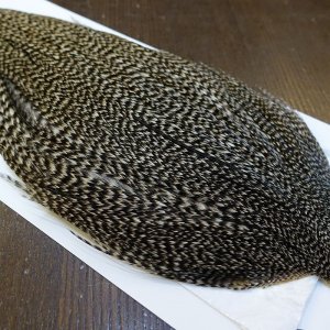 画像4: 【WHITING】Hebert ROOSTER CAPE Bronze Grade - Grizzly variant No.3