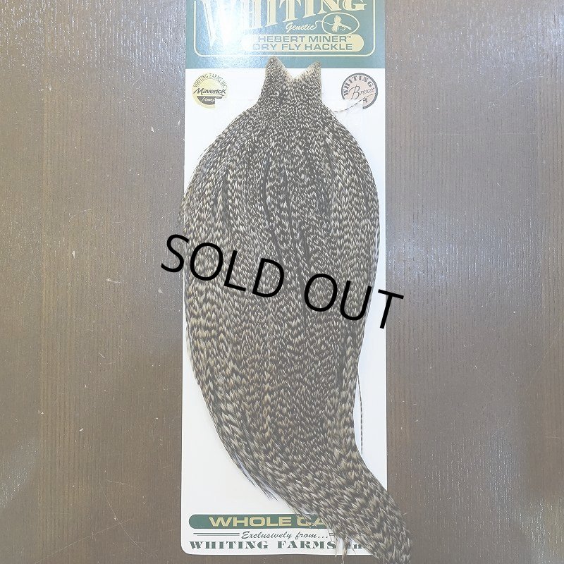 画像1: 【WHITING】Hebert ROOSTER CAPE Bronze Grade - Grizzly variant No.4 (1)