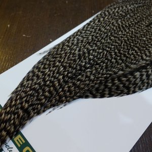 画像5: 【WHITING】Hebert ROOSTER CAPE Bronze Grade - Grizzly variant No.3