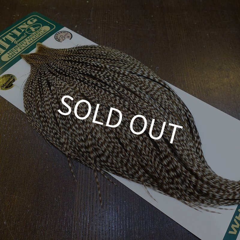 画像2: 【WHITING】Hebert ROOSTER CAPE Bronze Grade - DUN GRIZZLY No.2 (2)