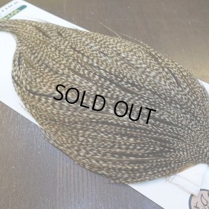 画像4: 【WHITING】Hebert ROOSTER CAPE Bronze Grade - DUN GRIZZLY No.2