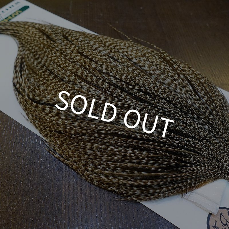 画像4: 【WHITING】Hebert ROOSTER CAPE Bronze Grade - DUN GRIZZLY No.2 (4)