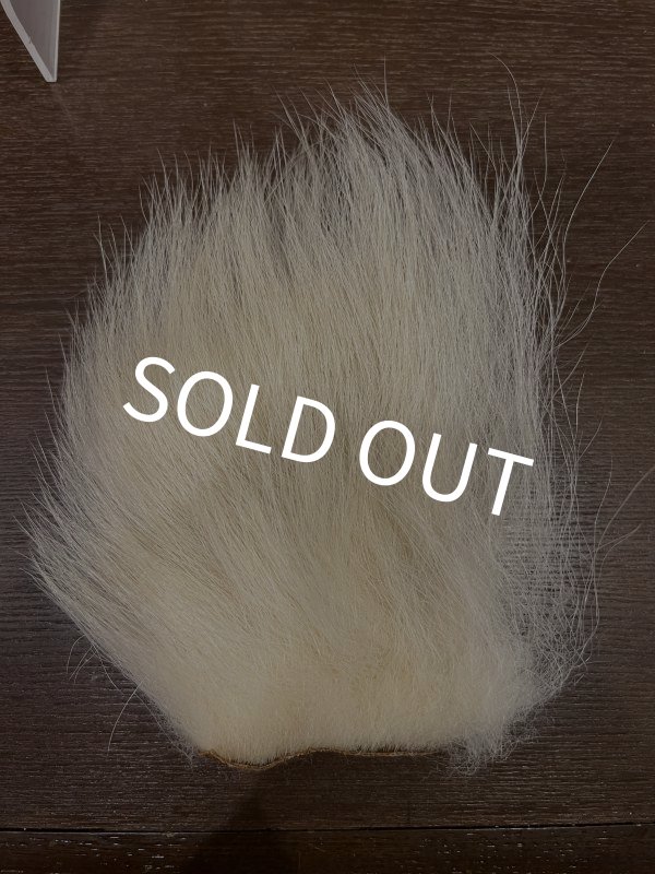 画像1: 【D】ポーラーベアー　ナチュラル　ラージカット 4 (1)