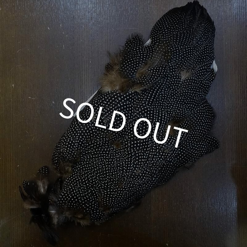 画像1: 【CANAL】Crested GUIDEA ボディ No.1 (1)