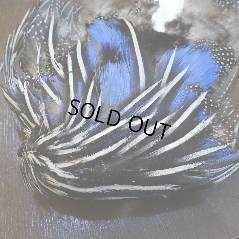 画像3: 【CANAL】VULTURINE GUINEA ボディ No.1 (3)