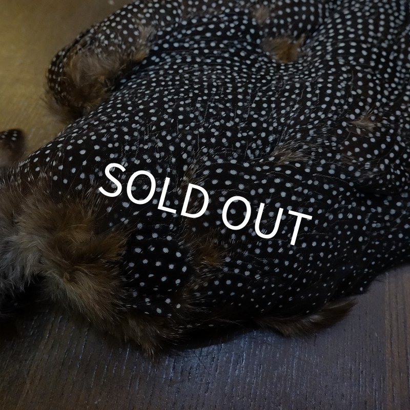 画像3: 【CANAL】Crested GUIDEA ボディ No.1 (3)