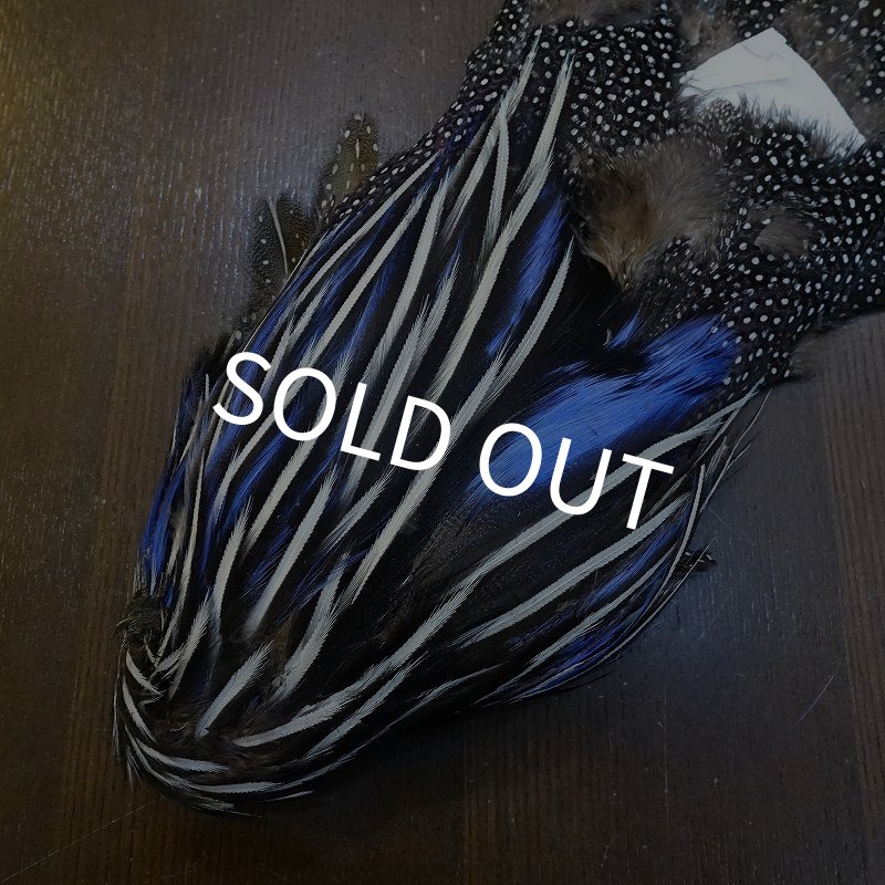 画像3: 【CANAL】VULTURINE GUINEA ボディ No.2 (3)