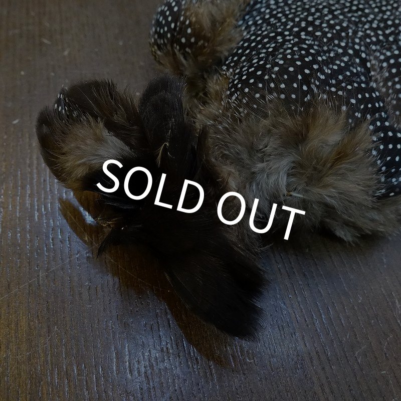 画像2: 【CANAL】Crested GUIDEA ボディ No.1 (2)