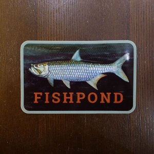 画像1: 【Fishpond】Silver King Sticker 5.5"