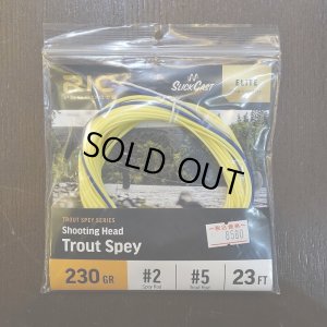 画像1: 【RIO】ELITE TROUT SPEY SHOOTING HEAD