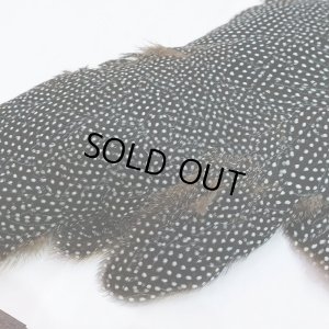 画像5: 【CANAL】Crested GUIDEA ボディ No.2