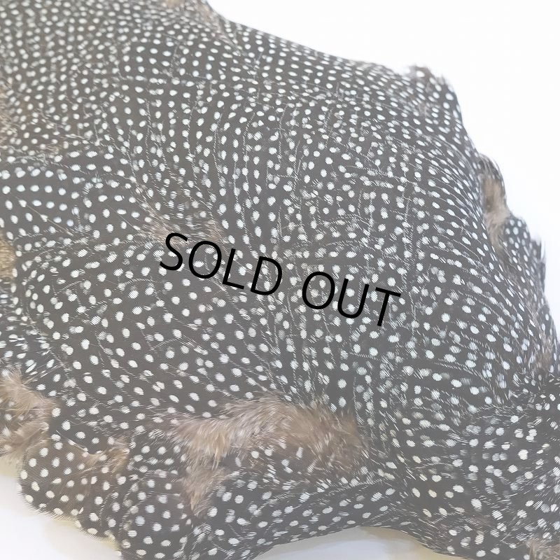 画像4: 【CANAL】Crested GUIDEA ボディ No.2 (4)