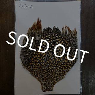 ジャングルコック - DOLLYVARDEN FLYSHOP